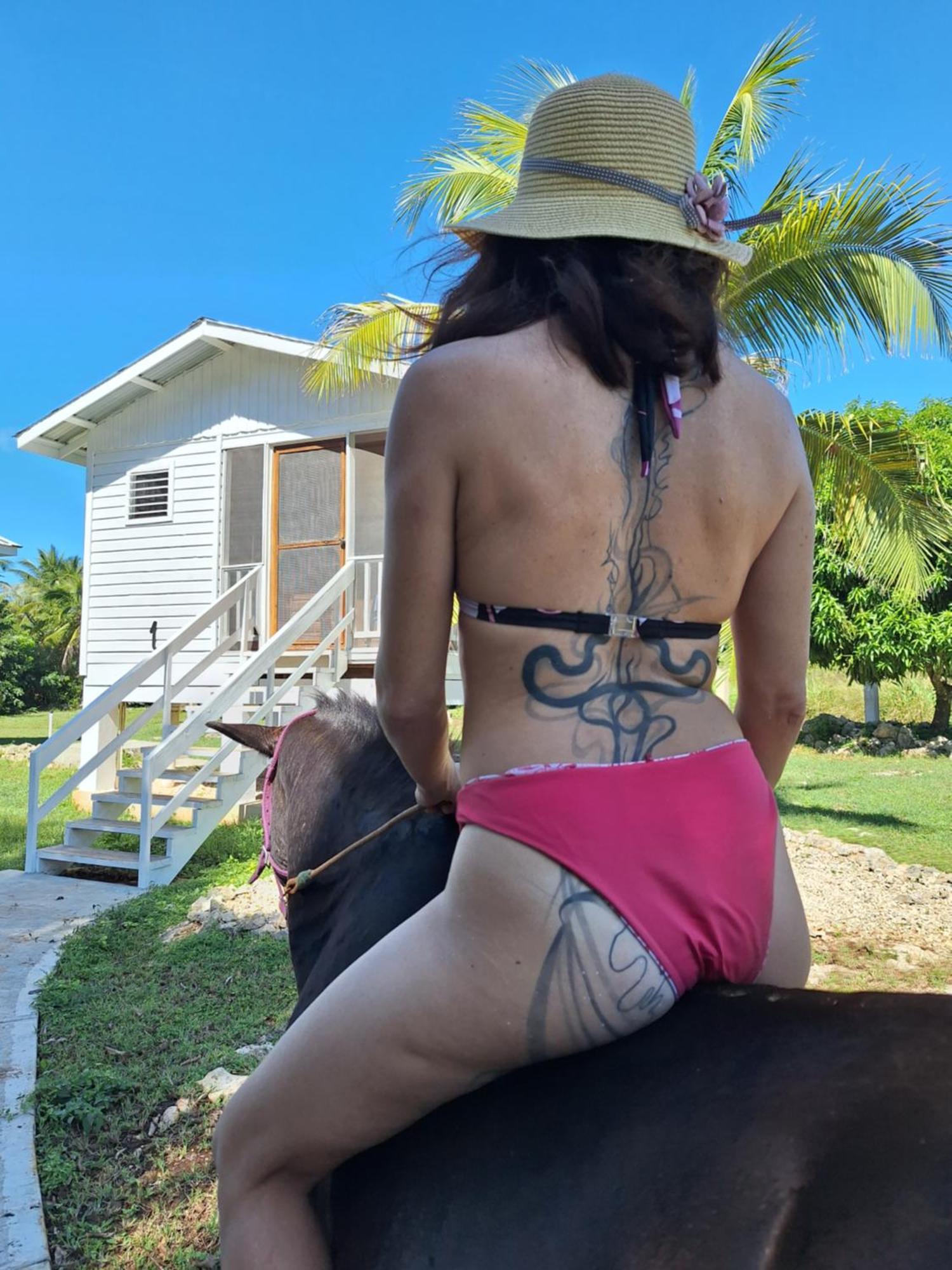 Horse Cottage Sarteneja エクステリア 写真