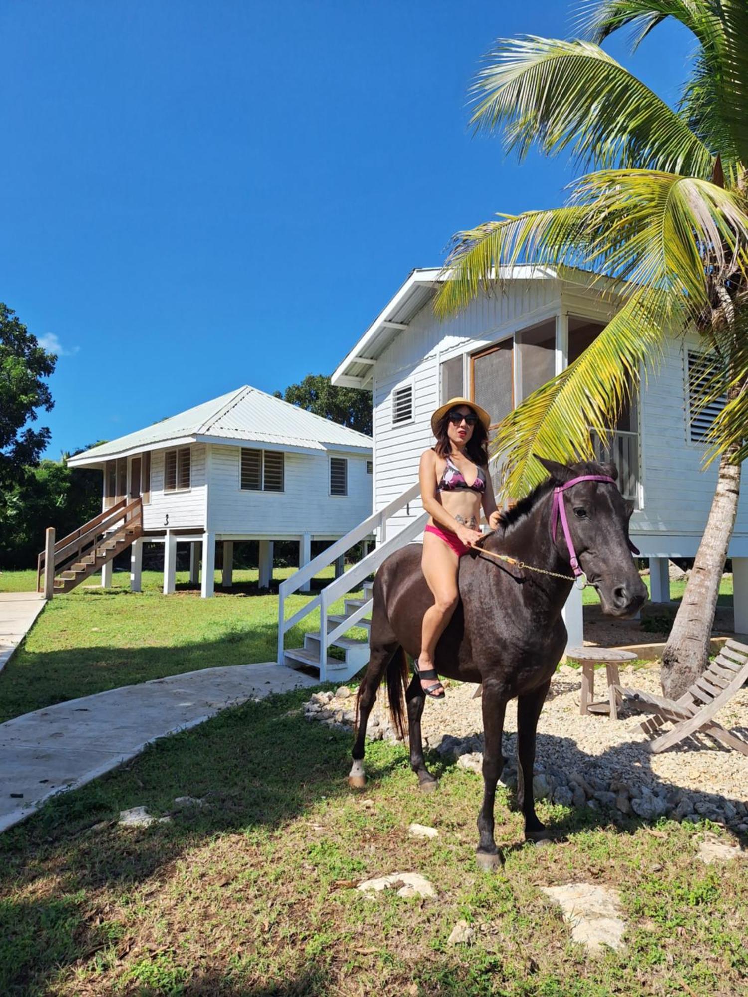 Horse Cottage Sarteneja エクステリア 写真