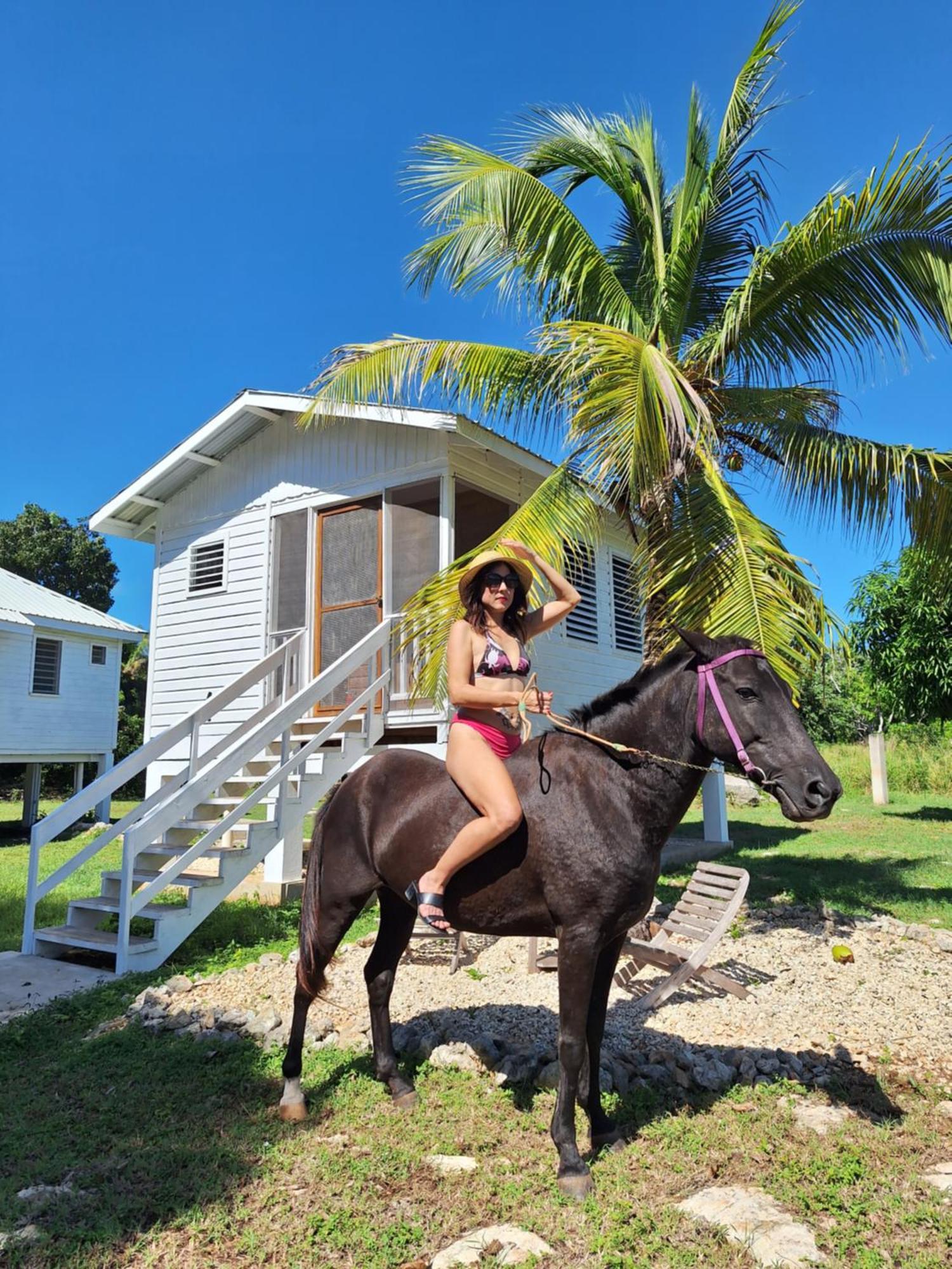 Horse Cottage Sarteneja エクステリア 写真