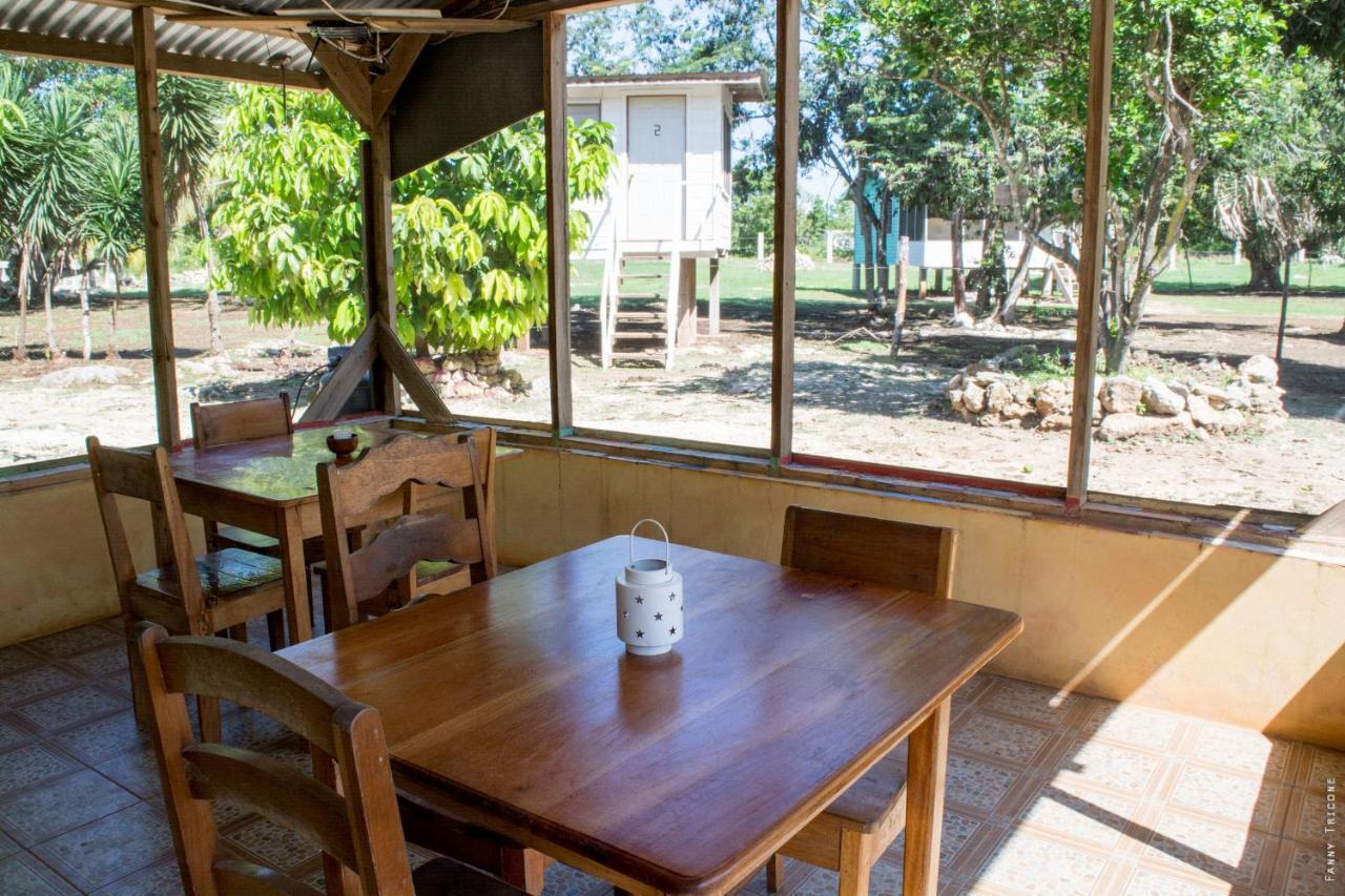 Horse Cottage Sarteneja エクステリア 写真