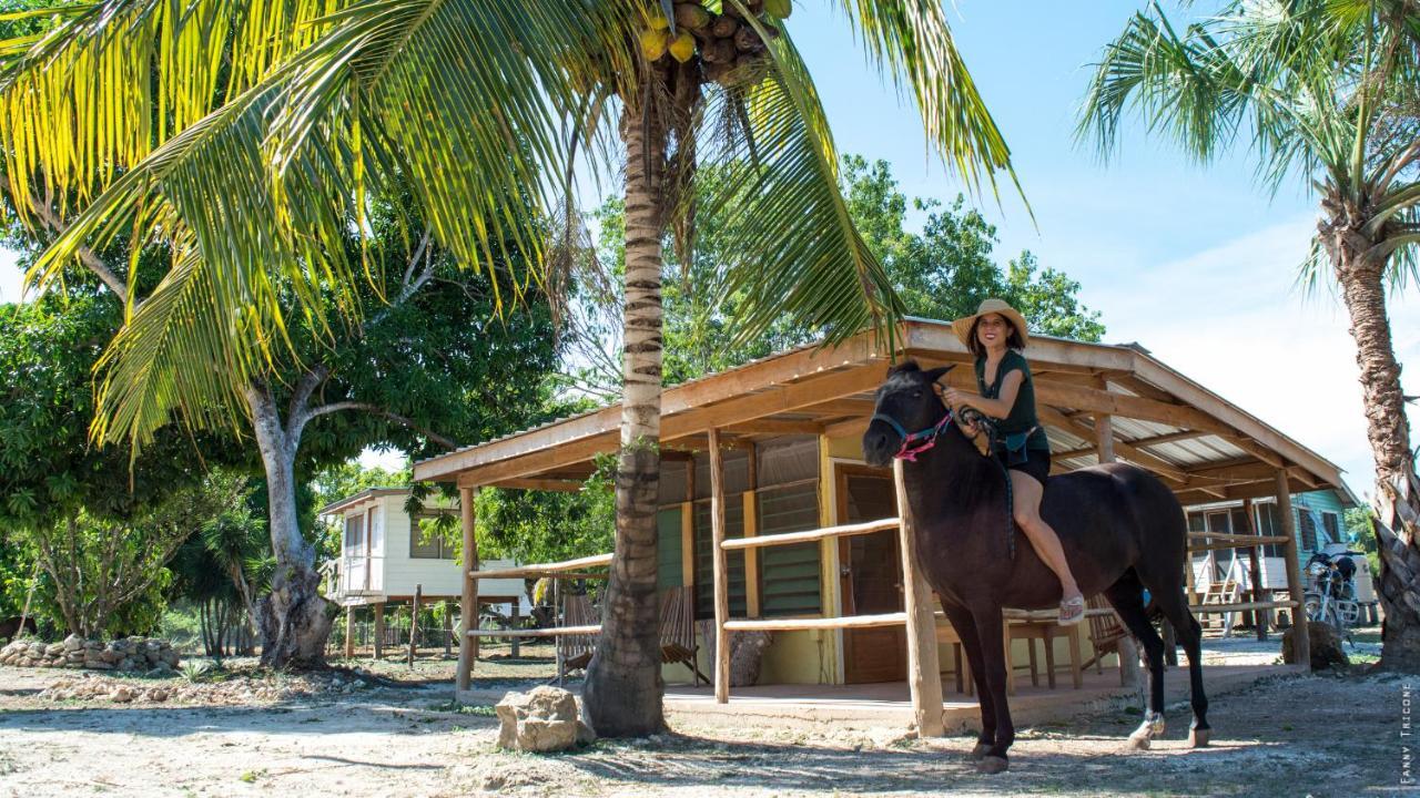 Horse Cottage Sarteneja エクステリア 写真