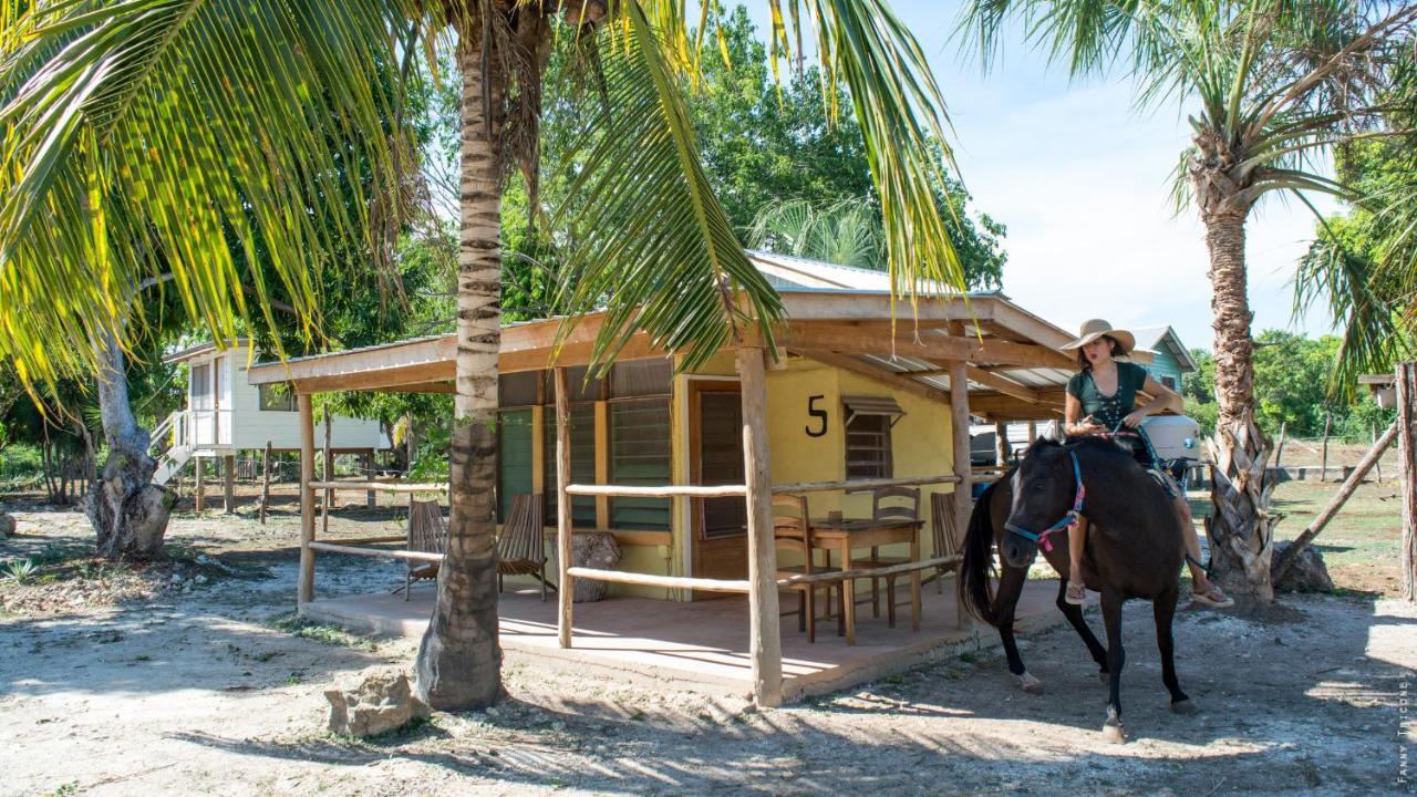Horse Cottage Sarteneja エクステリア 写真