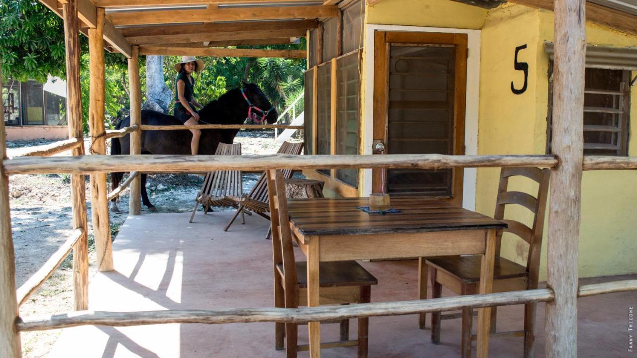 Horse Cottage Sarteneja エクステリア 写真