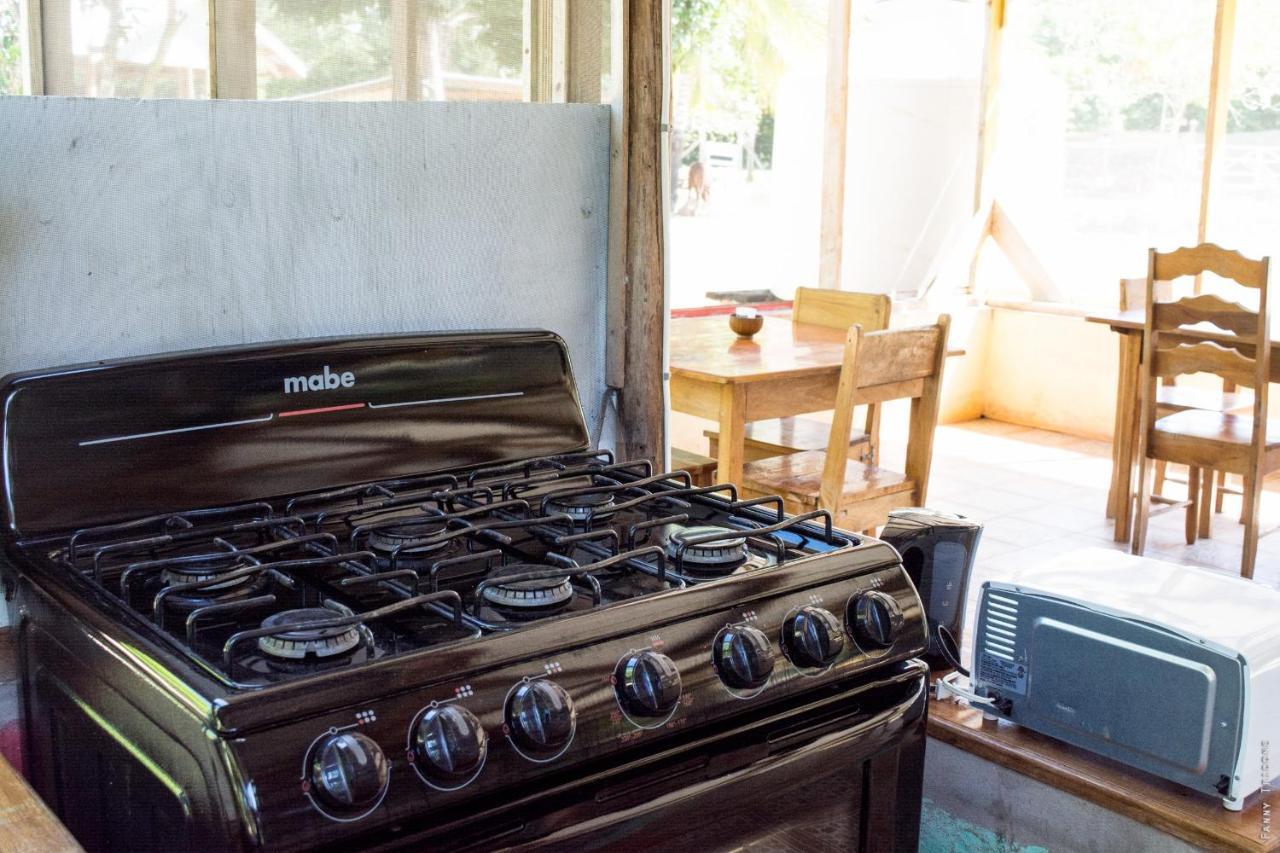 Horse Cottage Sarteneja エクステリア 写真